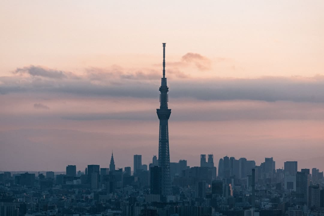 综艺「暖冬期」降临